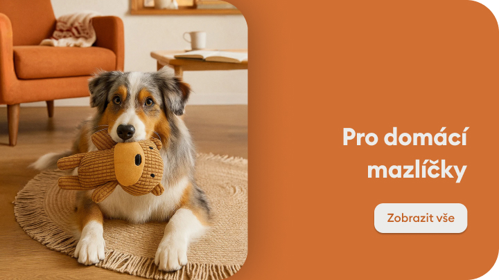 Pes leží na koberci s hračkou v tlamě, připravený si hrát. Text na obrázku vyzývá k prohlédnutí produktů pro domácí mazlíčky. Klikněte na „Zobrazit vše“ a objevte nabídku pro vaše zvířecí kamarády.