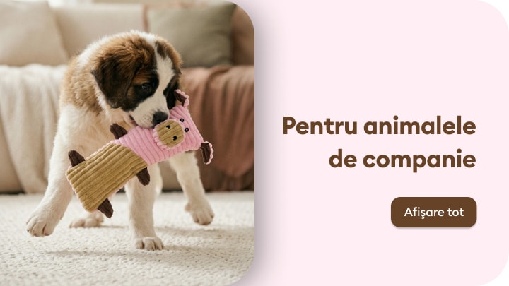 Jucărie pentru câini promovată pentru animale de companie și joacă activă în casă