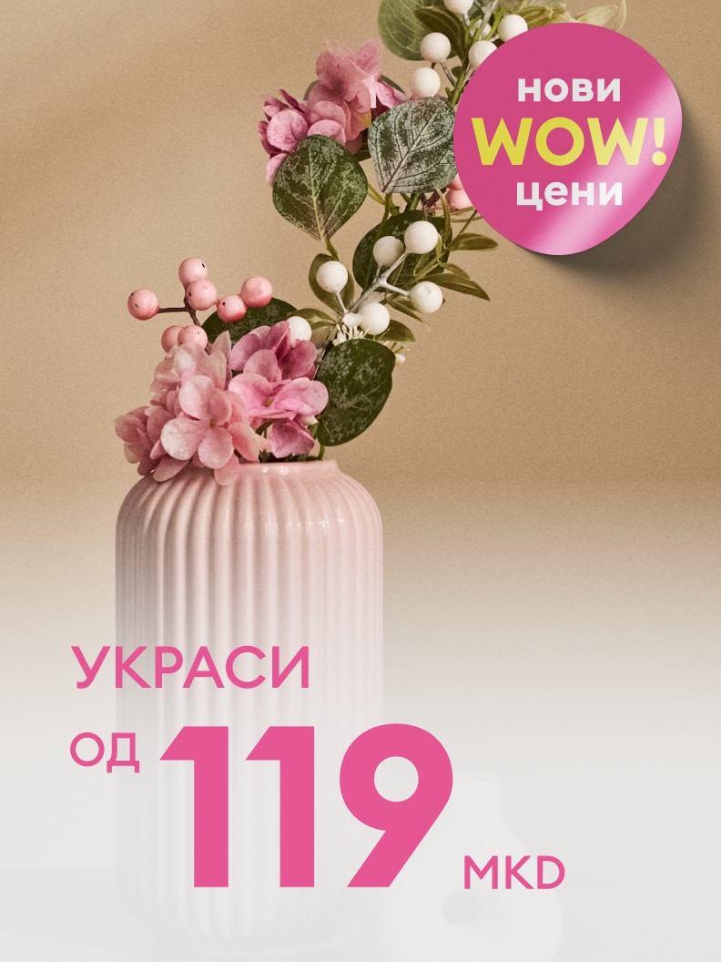 Промотивна понуда за украсни предмети за домот со нови WOW цени, почнувајќи од 119 МКД.