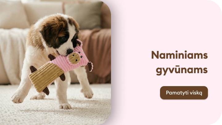 Šuniukas žaidžia su minkštu žaislu, reklamuojamos prekės naminiams gyvūnams