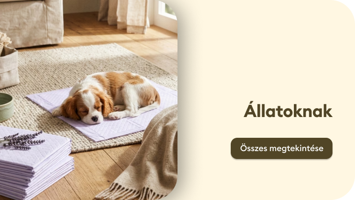 Állatok számára készült termékek kategóriáját népszerűsítő vizuális elem, amely a házi kedvencek kényelmét és otthoni pihenését hangsúlyozza.