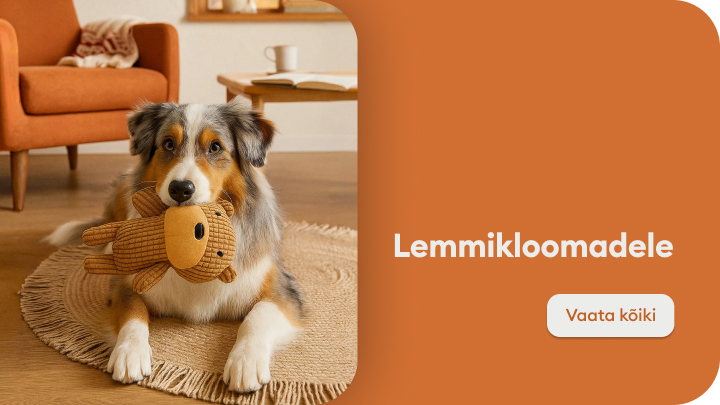 Koer mängib toas pehme mänguasjaga. Tekst kõrval viitab lemmikloomadele mõeldud toodetele. Nupule "Vaata kõiki" klõpsates on võimalik näha kõiki pakkumisi ja tooteid.