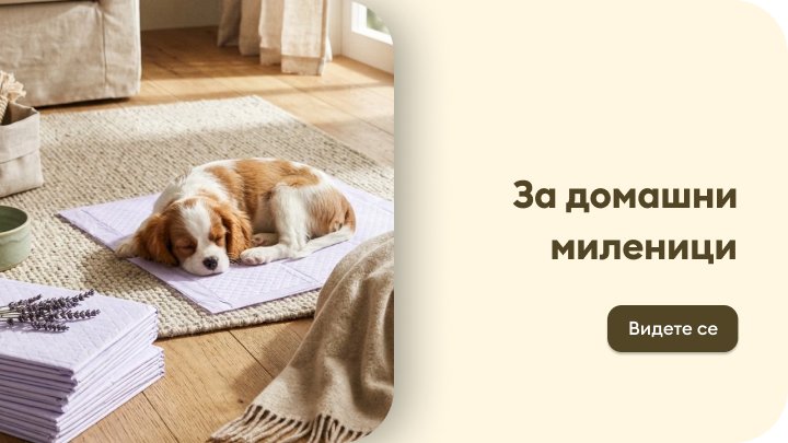 Промотивна слика што упатува кон понуда на производи за домашни миленици, со фокус на удобност и грижа во домот.