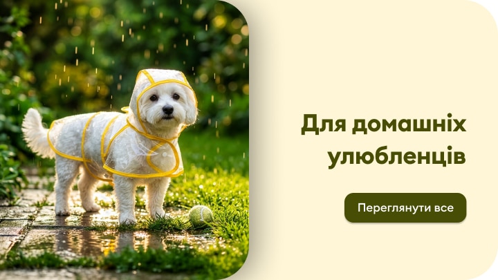 Одяг та аксесуари для домашніх улюбленців для прогулянок у дощову погоду