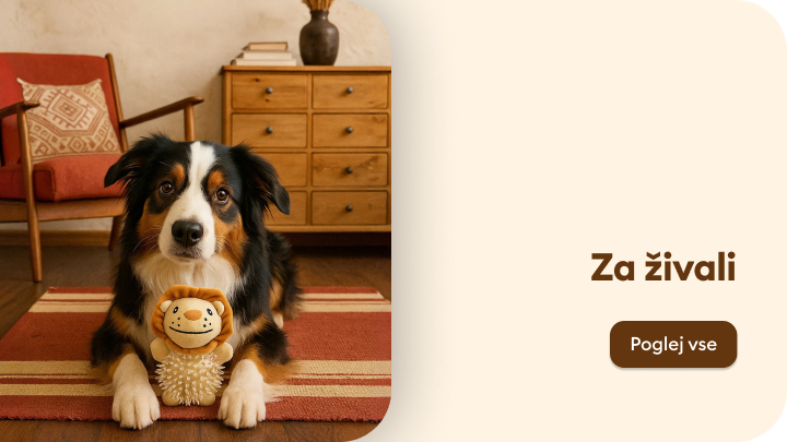 Pes sedi na preprogi in drži igračo v obliki leva. Igrača je primerna za hišne ljubljenčke. Ob njem sta lesena komoda in rdeč naslanjač. Na desni strani slike je gumb z besedilom »Poglej vse« in naslov »Za živali«, ki usmerja na izdelke za hišne ljubljenčke. banner