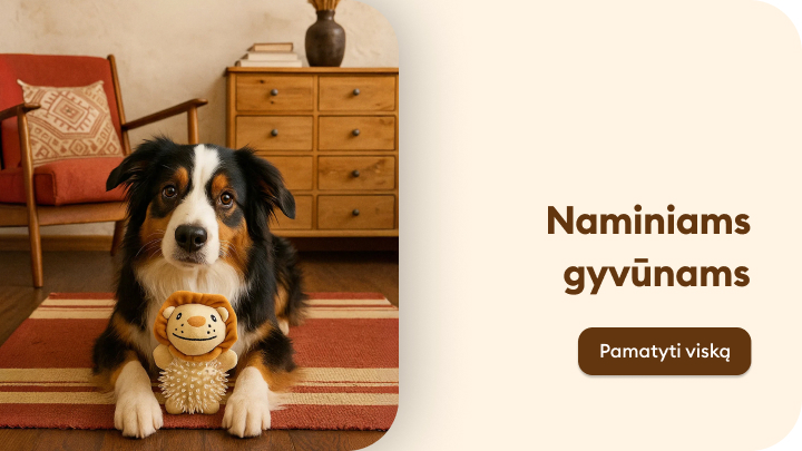 Šiame paveikslėlyje matomas linksmas šuo, gulintis ant kilimo ir laikantis žaislą liūtuko formos. Tekstas šalia jo kviečia skirti dėmesio naminiams gyvūnams. Mygtukas „Pamatyti viską“ ragina sužinoti daugiau apie siūlomas prekes gyvūnams. banner