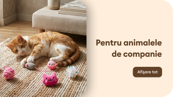 Promovare categorie de produse pentru animale de companie, evidențiind confortul și îngrijirea lor în locuință