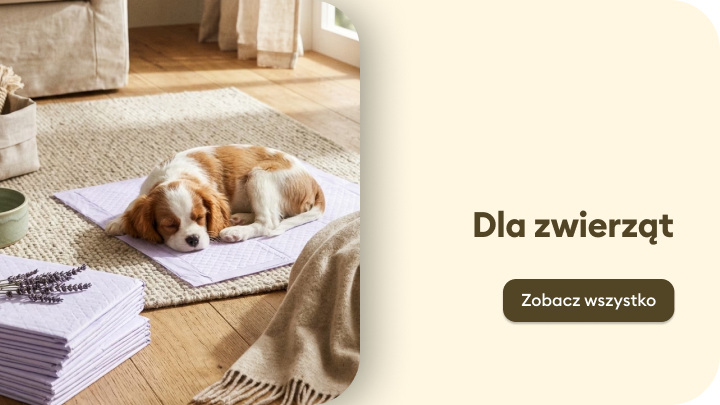 Baner promujący ofertę produktów dla zwierząt, zachęcający do zapoznania się z pełnym asortymentem akcesoriów i tekstyliów do domu dla pupili.