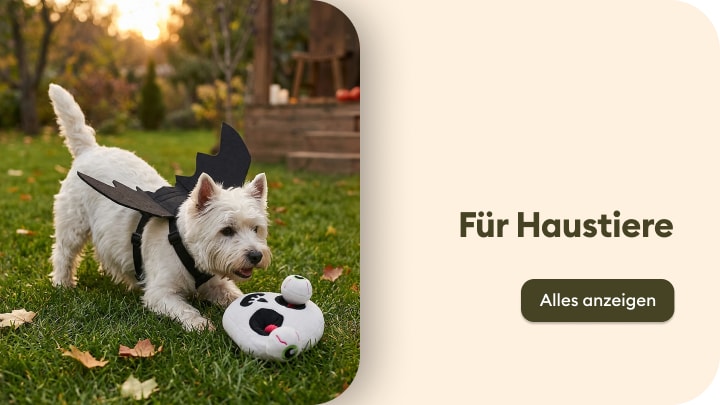 Hund spielt mit Spielzeug im Garten und präsentiert Zubehör und Produkte für Haustiere