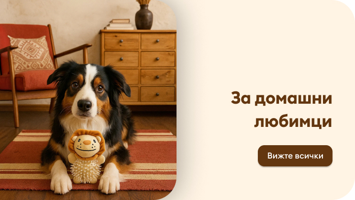 Куче лежи на килим, държейки играчка – плюшено лъвче. Вляво има кресло, а вдясно шкаф с чекмеджета. Надписът гласи: 