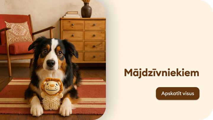 Mājdzīvnieks - suns ar rotaļlietu lauvā formā sēž uz paklāja mājīgā istabas vidē. Aiz viņa redzams skapītis un krēsls ar spilvenu. Teksts 