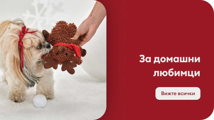 Куче лежи на килим, държейки играчка – плюшено лъвче. Вляво има кресло, а вдясно шкаф с чекмеджета. Надписът гласи: 