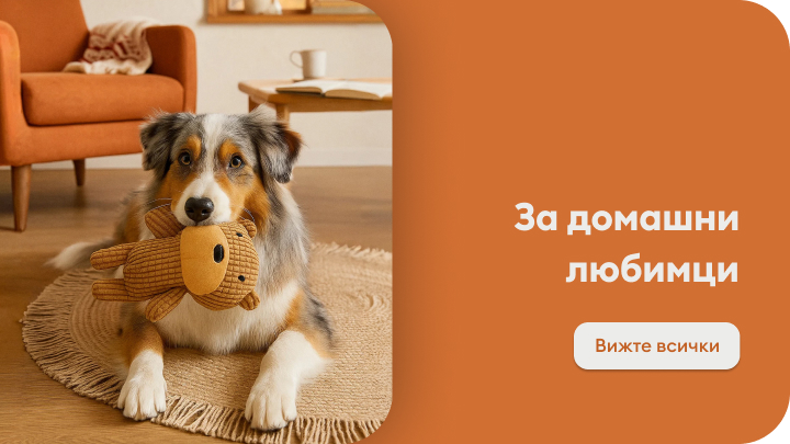 Куче държи плюшена играчка в устата си, седнало върху килим в уютен хол. Текстът на изображението гласи: „За домашни любимци“. Кликнете върху бутона „Вижте всички“, за да разгледате продукти за домашни любимци.