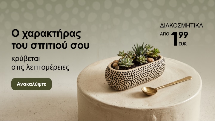Προβολή διακοσμητικών ειδών για το σπίτι με μοντέρνα γλάστρα και παχύφυτα σε προσφορά από 1,99 EUR
