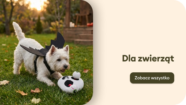 Oferta akcesoriów i produktów dla zwierząt domowych prezentowana z psem bawiącym się zabawką na trawie