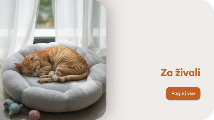 Oranžna mačka spi na mehkem, okroglem ležišču ob oknu. V bližini so postavljene igrače za živali. Na desni strani slike se nahaja napis "Za živali" ter gumb, ki vodi do več informacij.