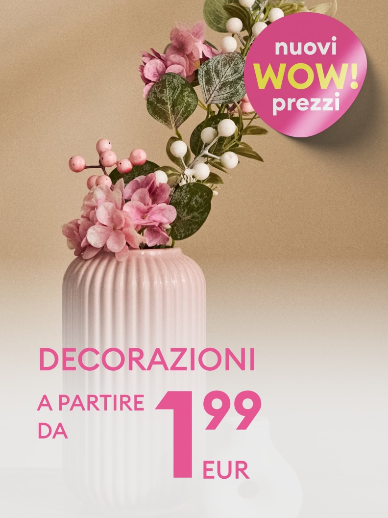 Promozione su articoli decorativi per la casa, con prezzi convenienti a partire da 1,99 euro, pensata per incentivare l’acquisto di decorazioni stagionali.
