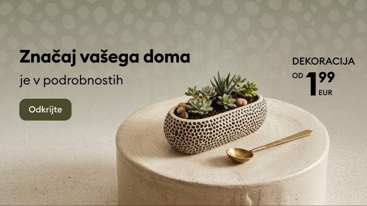 Promocija dekorativnih dodatkov za dom z okrasnim lončkom za sukulente in elegantnim dizajnom za popestritev notranjih prostorov.