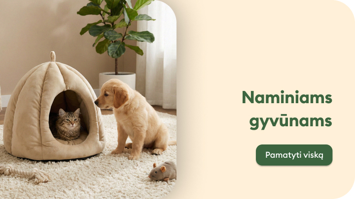 Kvietimas peržiūrėti naminių gyvūnų prekių asortimentą, pabrėžiant jaukius ir komfortą suteikiančius sprendimus augintiniams.