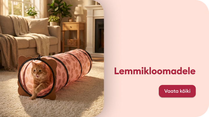 Reklaam kutsub tutvuma lemmikloomadele mõeldud toodete ja mänguasjade valikuga, rõhutades mängulist ja mugavat kasutuskogemust kassile.