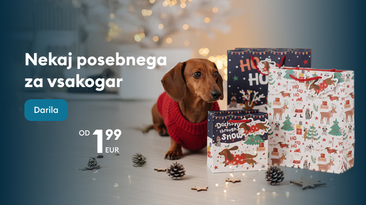 Darila za praznično sezono po dostopni ceni. Pes v prazničnem puloverju obdarovan z darilnimi vrečkami s prazničnimi motivi. Promocija poudarja ponudbo daril za praznike, ki se začnejo že pri 1,99 EUR. Slogan: Nekaj posebnega za vsakogar. banner