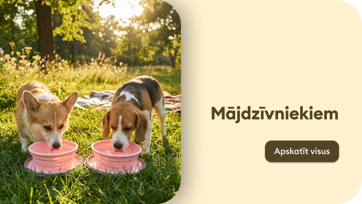 Reklamē mājdzīvnieku preces, parādot suņus, kas lieto barošanas traukus un simbolizē rūpes par mājdzīvnieku labsajūtu.