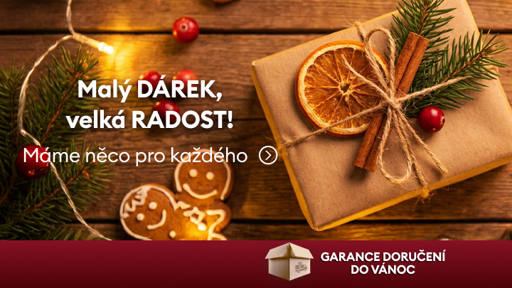 Malý dárek může přinést velkou radost. Dárkově zabalený balíček s vánoční ozdobou, sušeným pomerančem a skořicí na stole vedle perníčků. Text: „Máme něco pro každého“ a informace „Garance doručení do Vánoc“ s ikonkou balíčku.