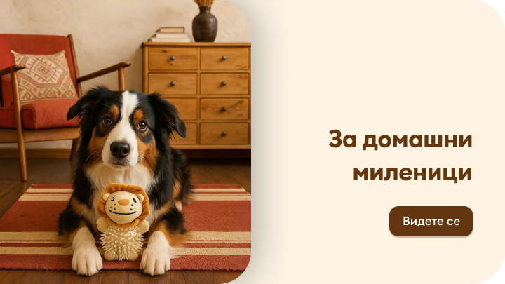Куче седи на тепих и држи играчка во форма на лав во своите шепи. Во позадина се гледа дрвен ормар и фотелја. На сликата има текст „За домашни миленици“ со копче „Видете се“ за повеќе информации. banner
