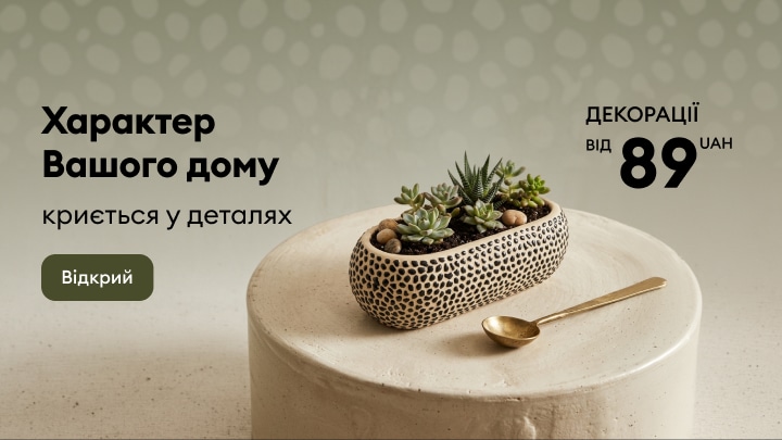 Декоративні аксесуари для дому та композиція із сукулентів для створення затишного інтер’єру за доступною ціною