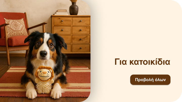 Σκύλος ράτσας Australian Shepherd κάθεται σε χαλί και κρατάει παιχνίδι σε σχήμα λιονταριού. Στο φόντο φαίνεται έπιπλο με συρτάρια, καρέκλα και διακοσμητικά αντικείμενα. Δίπλα του υπάρχει κείμενο: «Για κατοικίδια» και κουμπί με την επιλογή «Προβολή όλων». banner