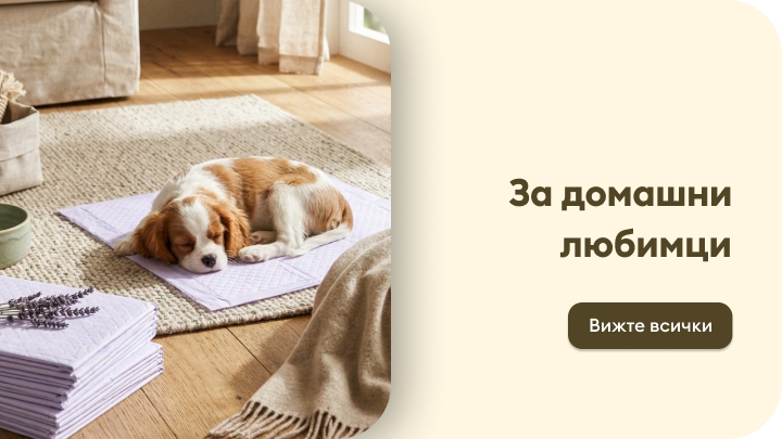 Илюстрира категория с продукти за домашни любимци, подчертаваща грижа и комфорт за кучета в домашна среда.
