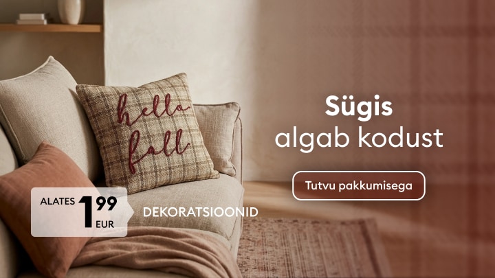 Promovare pentru decorațiuni de toamnă pentru casă, disponibile de la 9,99 RON