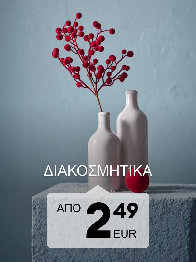 Διακοσμητικά βάζα και κλαδί με μούρα για διακόσμηση εσωτερικού χώρου, διαθέσιμα από 2,49 EUR