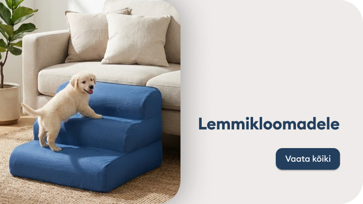 Lemmikloomadele mõeldud trepp võimaldab väikesel koeral iseseisvalt ja turvaliselt diivanile pääseda, rõhutades kodust mugavust ja ligipääsetavust lemmikloomadele.