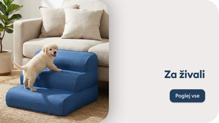 Prikaz stopnic za hišne ljubljenčke, ki majhnemu psu omogočajo varen dostop na kavč brez skakanja.