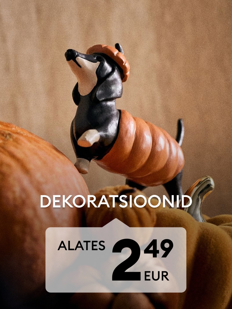 Halloweeni teemaline koera dekoratsioon kõrvitsate seas kodu hooajaliseks kaunistamiseks alates 2,49 eurost