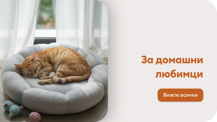 Спяща котка, която лежи уютно в легло за домашни любимци. Текстът вдясно насочва към продукти за домашни любимци с бутон за разглеждане на всички предложения.