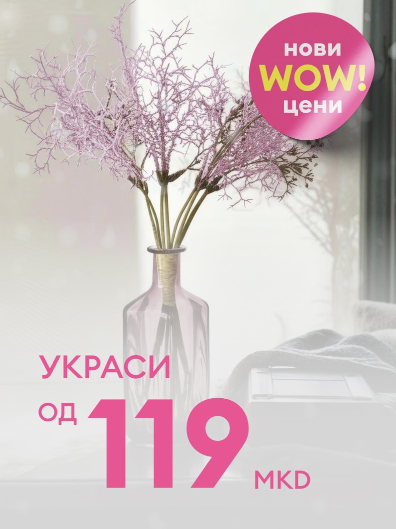 Декоративно шише со сушени гранки во модерно издание. Промоција со нови WOW цени. Производот е достапен за 119 денари. Идеално за освежување на домот или подарок со стил.