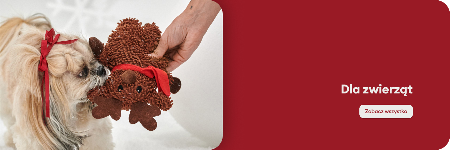 Pies siedzi na dywanie w domowym wnętrzu, trzyma w łapkach zabawkę w kształcie lwa. Obok znajduje się napis „Dla zwierząt” oraz przycisk „Zobacz wszystko”, który kieruje do oferty dedykowanej akcesoriom dla zwierząt. Idealne miejsce dla pupili i ich właścicieli.