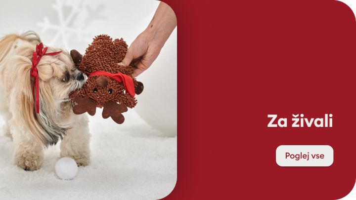 Pes sedi na preprogi in drži igračo v obliki leva. Igrača je primerna za hišne ljubljenčke. Ob njem sta lesena komoda in rdeč naslanjač. Na desni strani slike je gumb z besedilom »Poglej vse« in naslov »Za živali«, ki usmerja na izdelke za hišne ljubljenčke. banner