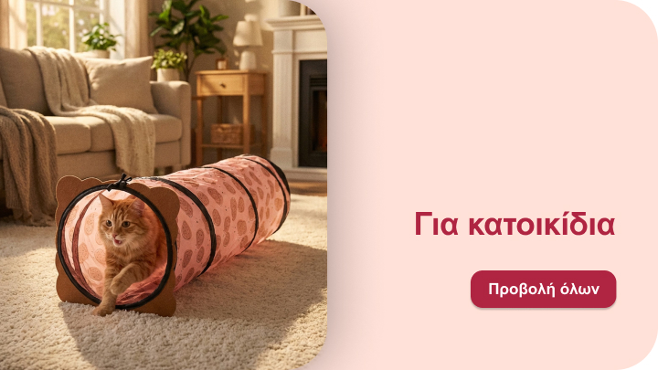 Προώθηση προϊόντων για κατοικίδια, αναδεικνύοντας παιχνίδι που ενθαρρύνει τη δραστηριότητα και το παιχνίδι της γάτας στο σπίτι.