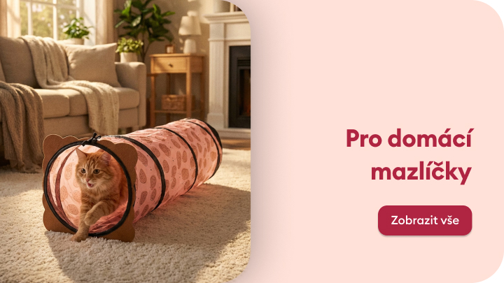 Ukázka pomůcky pro domácí mazlíčky, která umožňuje malému psovi bezpečně a samostatně vystoupat na pohovku.