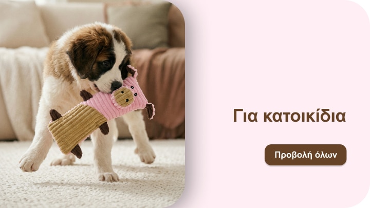 Κουτάβι παίζει με λούτρινο παιχνίδι, προβάλλοντας προϊόντα και αξεσουάρ για κατοικίδια στο σπίτι