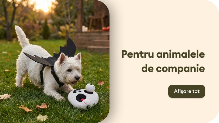 Categorie de produse pentru animale de companie, ilustrată cu un câine care se joacă în aer liber cu o jucărie pentru animale