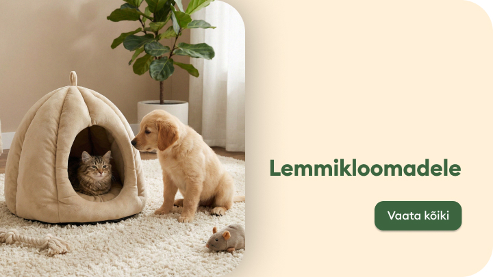 Reklaam kutsub tutvuma lemmikloomade toodete valikuga, näidates hubast kodust stseeni koera ja kassiga, kellele pakutakse mugavaid ja mängulisi lahendusi.