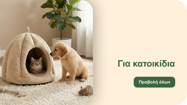 Προώθηση προϊόντων για κατοικίδια που αναδεικνύουν άνεση, φροντίδα και αρμονική συμβίωση σκύλου και γάτας στο σπίτι.
