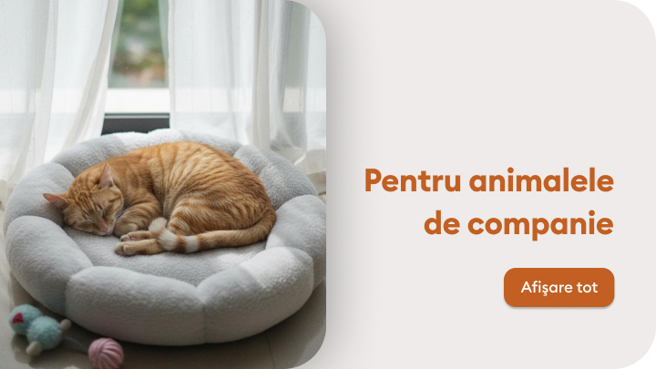 Un pisoi portocaliu doarme confortabil într-un culcuș moale, rotund. Pe partea dreaptă a imaginii, un text promovează produse pentru animale de companie. Un buton oferă posibilitatea de a explora toate produsele disponibile.
