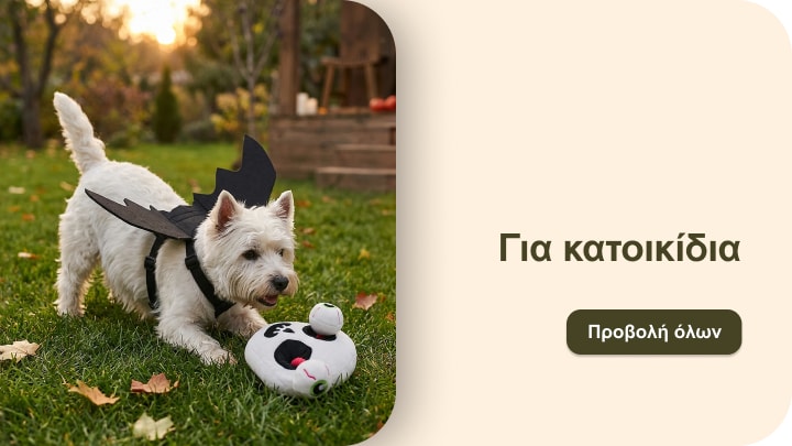 Προβολή προϊόντων και αξεσουάρ για κατοικίδια και παιχνίδι σκύλου σε εξωτερικό χώρο