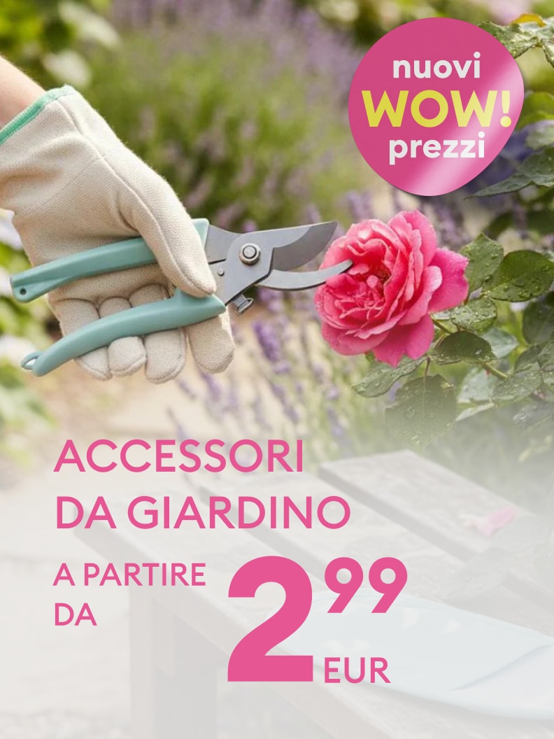 Promozione su accessori da giardino con strumenti per la potatura, proposta commerciale che evidenzia nuovi prezzi convenienti a partire da 2,99 euro.