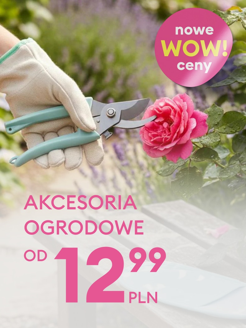 Promocja akcesoriów ogrodowych z obniżonymi cenami, zachęcająca do zakupu narzędzi do pielęgnacji roślin i ogrodu.